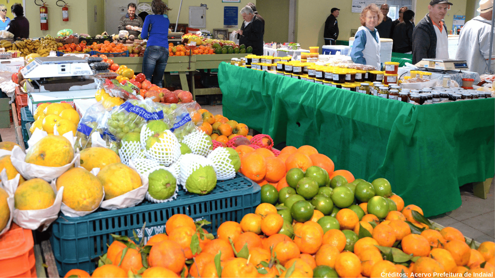 Feira-Livre-de-Indaial – Feira-Livre-de-Indaial -