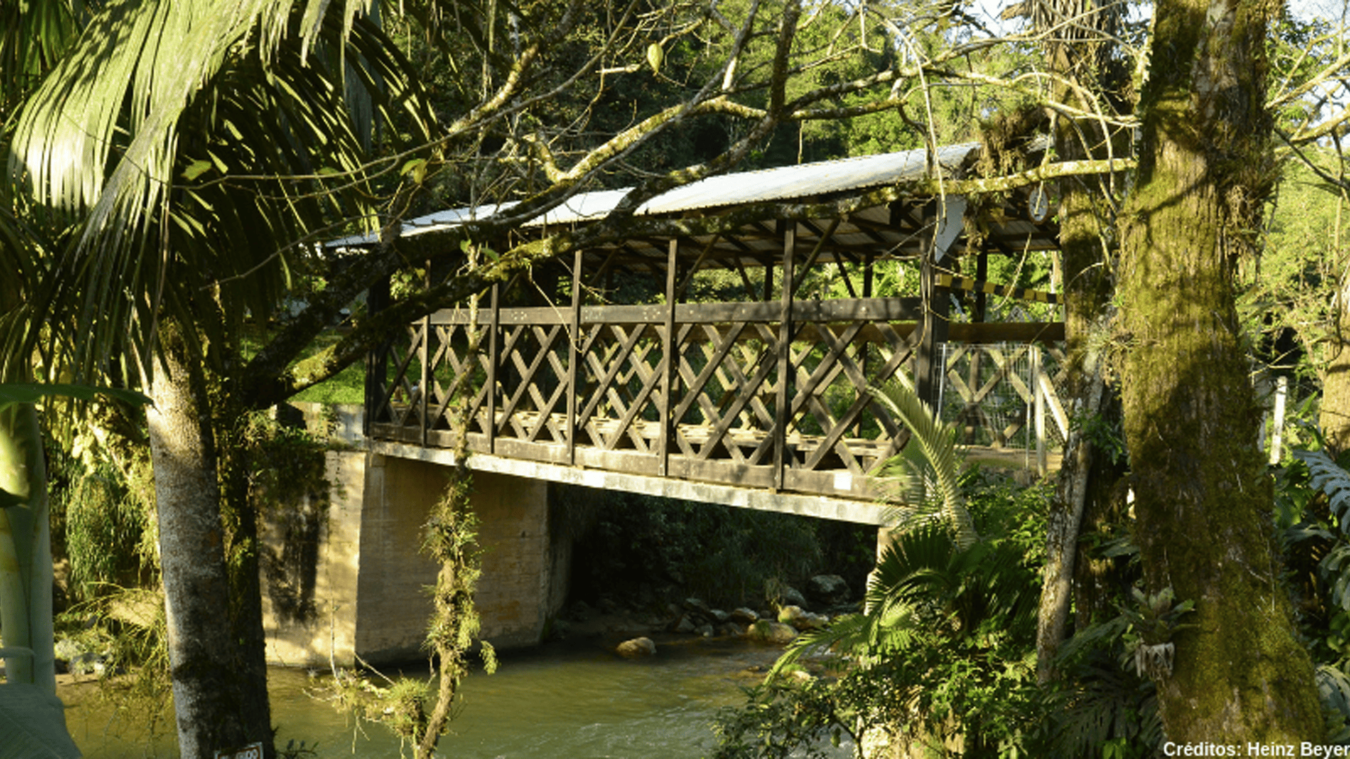 Ponte-de-Madeira-Coberta-do-Encano Ponte-de-Madeira-Coberta-do-Encano