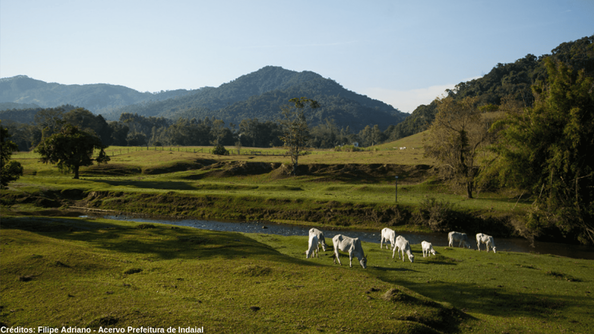 Região-Histórica-do-Warnow Região-Histórica-do-Warnow